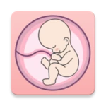 Logo of Pregnancy tracker week by week android Application 